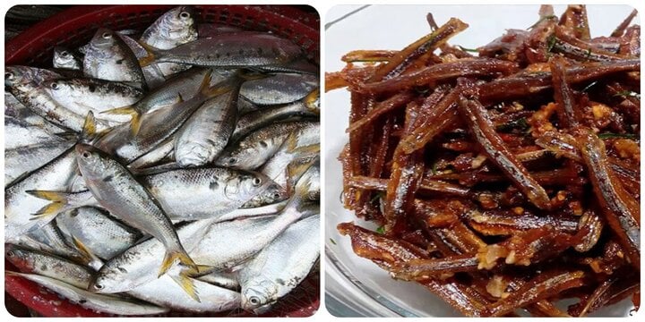 Cá mòi (trái) và cá cơm rất giàu Omega-3