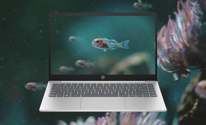 HP 14 - Sức mạnh AI trong tầm tay bạn - 4