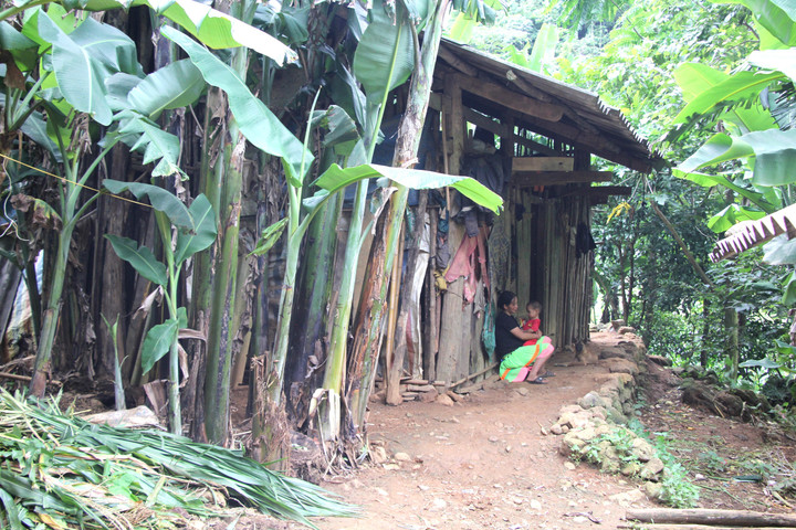 Cao Bằng: Huyện Hà Quảng phấn đấu năm 2025 cơ bản trở thành huyện thoát nghèo - 1