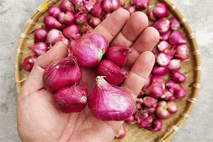 Hành, tỏi khô là món càng để tủ lạnh càng dễ hỏng. (Ảnh: Sohu)