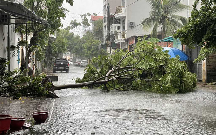 Lúc 8h50, tại thị xã Quảng Yên trời vẫn tiếp tục mưa. Tại tuyến phố Quang Trung, tuyến đường 338 nối đường 331 đoạn chạy qua phường Quảng Yên ghi nhận một số cây xanh bị đổ, gãy.