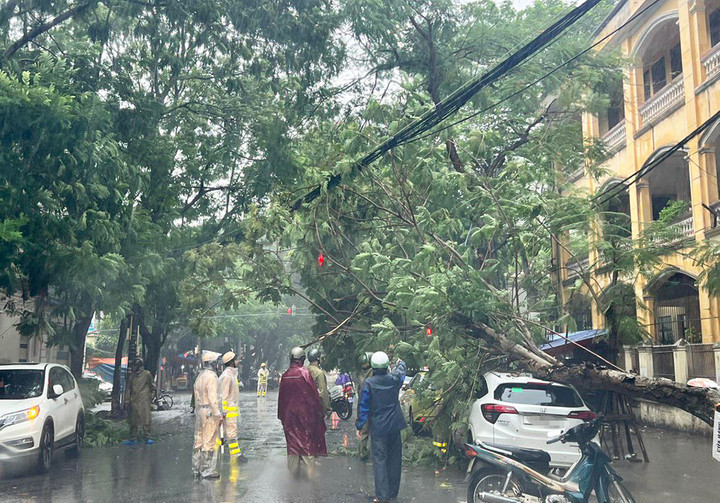Tại tuyến đường Trần Quang Khải (quận Hồng Bàng, Hải Phòng), cây xanh đổ đè vào ô tô đỗ dưới lòng đường. Nhận được thông tin, Đội Cảnh sát giao thông - trật tự Công an quận Hồng Bàng bố trí lực lượng có mặt tại hiện trường phân luồng, điều tiết và thông báo cho Đội Cảnh sát Phòng cháy chữa cháy và cứu nạn cứu hộ cùng các lực lượng chức năng liên quan để xử lý. (Ảnh: Page Hải Phòng)