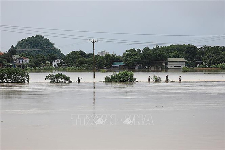 (Ảnh: Trọng Đạt/TTXVN)
