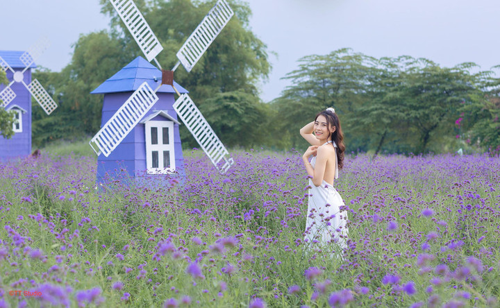 Thảo nguyên hoa Long Biên - điểm check-in hút khách ở Hà Nội - 4