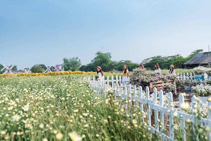 Thảo nguyên hoa Long Biên - điểm check-in hút khách ở Hà Nội - 3