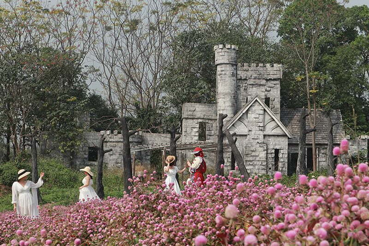 Thảo nguyên hoa Long Biên - điểm check-in hút khách ở Hà Nội - 5