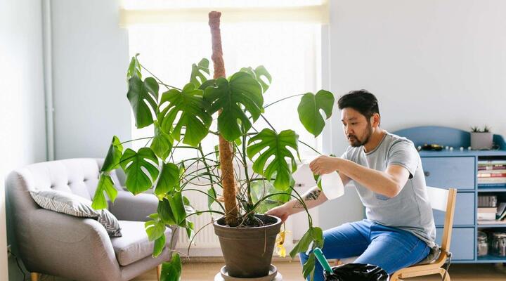 Cây xanh không chỉ làm đẹp cho không gian sống mà còn giúp cân bằng độ ẩm trong phòng. (Ảnh: Bloombox Club)