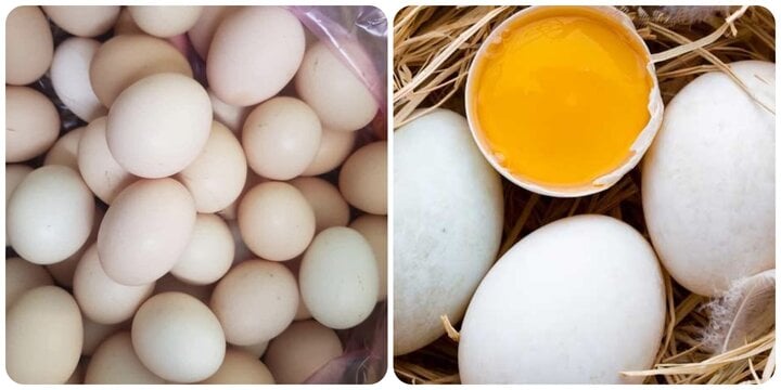Ăn trứng gà hay trứng vịt tốt hơn là băn khoăn của nhiều người