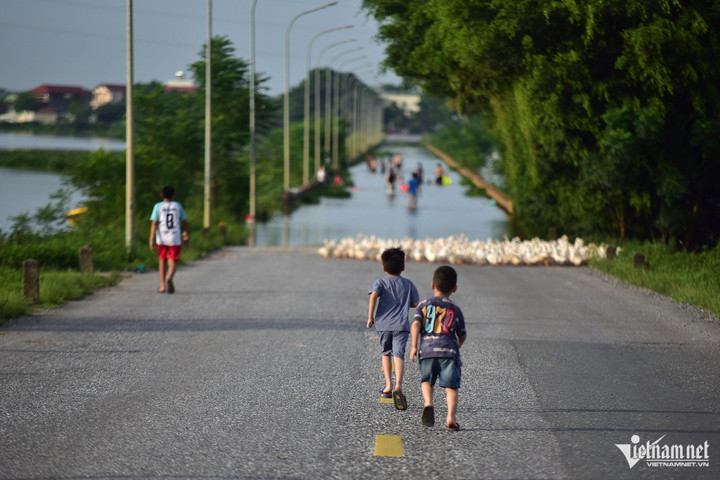 Không chỉ thôn Cấn Hạ (xã Cấn Hữu), các khu vực khác như xóm Bến (xã Tân Tiến), tỉnh lộ 412B nối huyện Quốc Oai với thị trấn Xuân Mai cũng bị ngập nặng 2 ngày trước đó. (Ảnh: Đinh Tiến Cường)