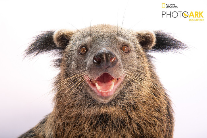 Đoàn nhiếp ảnh National Geographic 'đổ bộ' Vinpearl Safari Phú Quốc - 6