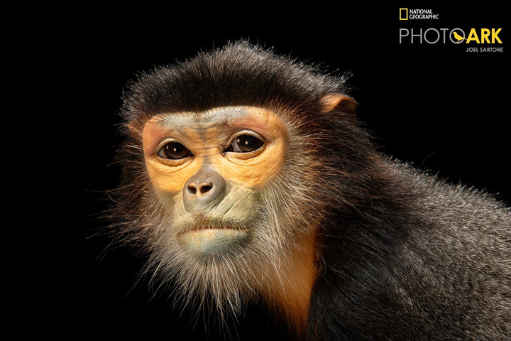 Đoàn nhiếp ảnh National Geographic 'đổ bộ' Vinpearl Safari Phú Quốc - 9