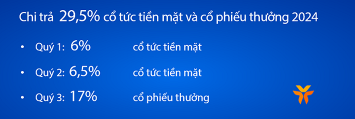 VIB: Lợi nhuận đạt 4.600 tỷ đồng trong 6 tháng đầu năm 2024 - 3