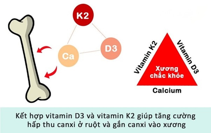 Canxi được hấp thu tốt nhất khi kết hợp cùng vitamin D3 và K2.