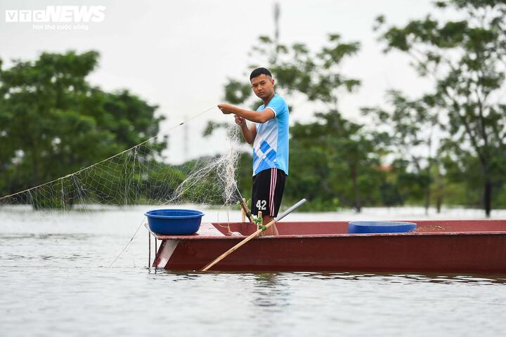 Người dân tranh thủ thả lưới bắt cá trên những thửa ruộng ngập trong nước. (Ảnh: Đức Anh)