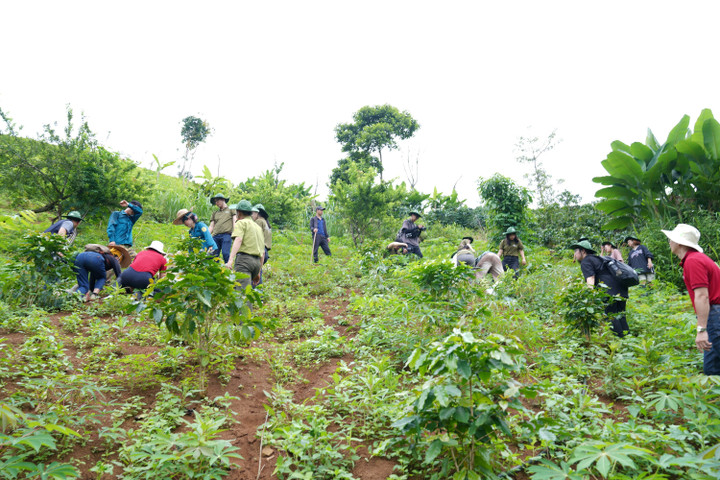 Buổi trồng rừng được đông đảo bà con bản Song hưởng ứng.