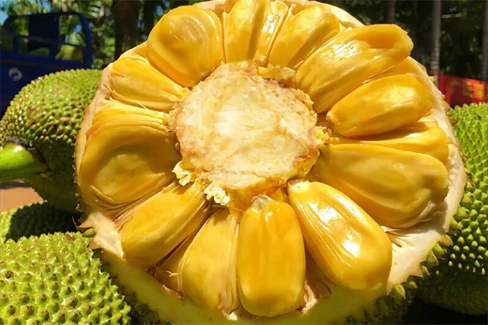 Mít sau khi ủ sẽ nhanh chóng chín mềm, thơm ngon. (Ảnh: Sohu)