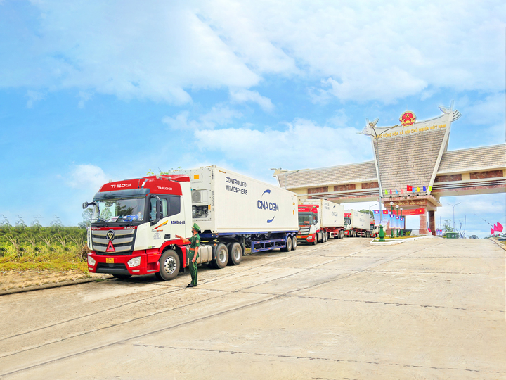 THILOGI phục vụ vận chuyển đường bộ nội địa và liên vận quốc tế.