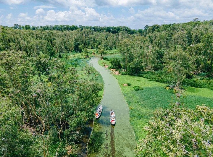 Rừng tràm Trà Sư nhìn từ trên cao. (Ảnh: Trasu Tourist Area)