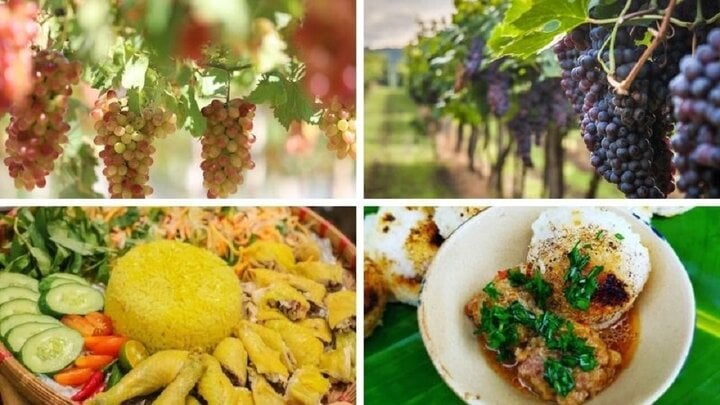 Các vườn nho và món ăn đặc trưng tại Ninh Thuận.