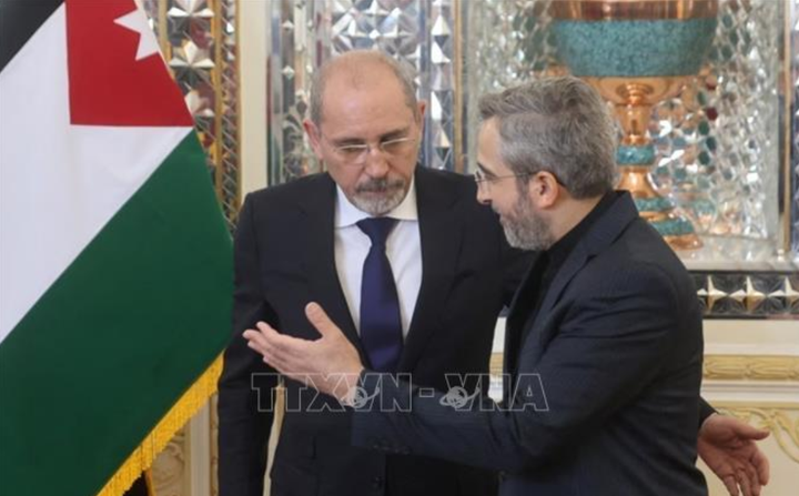 Quyền Ngoại trưởng Iran Ali Bagheri (phải) trong cuộc gặp Ngoại trưởng Jordan Ayman Safadi đang ở thăm Tehran, ngày 4/8/2024. (Ảnh: Reuters/TTXVN)