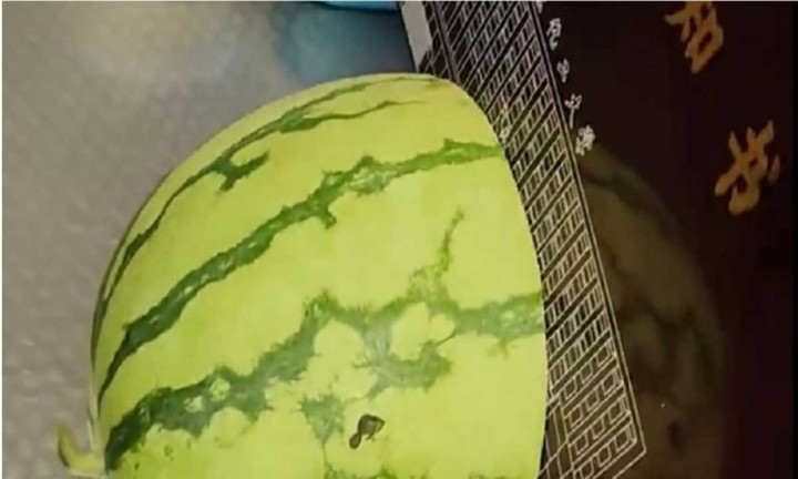 Một bạn tẻ dùng giấy báo nhập học để bổ dưa hấu.