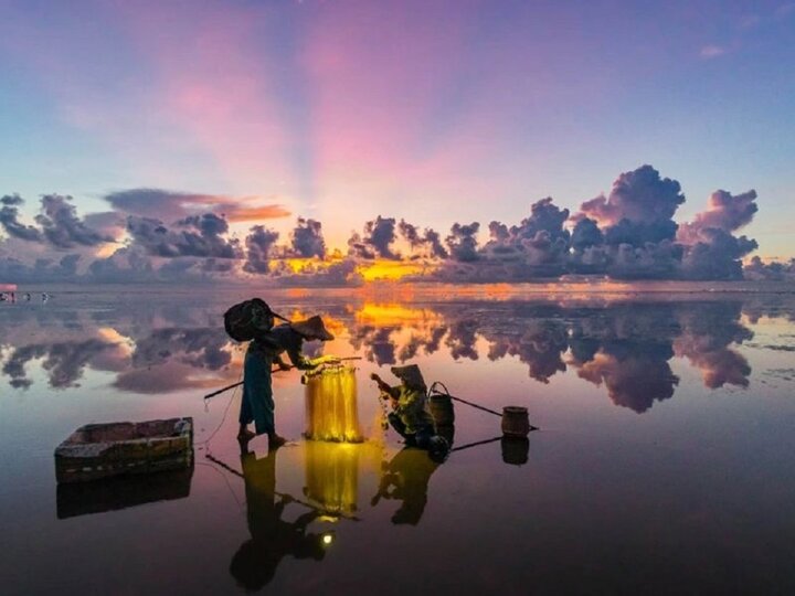 Dù đến biển vô cực Thái Bình bằng bất cứ phương tiện nào, bạn cũng sẽ được chào đón bởi nét đẹp huyền ảo của nơi đây.