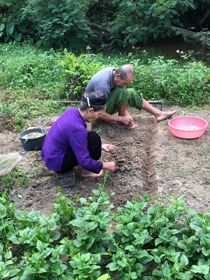 Clip 'lão nông' ngừng công việc để chải tóc cho vợ gây xúc động - 4