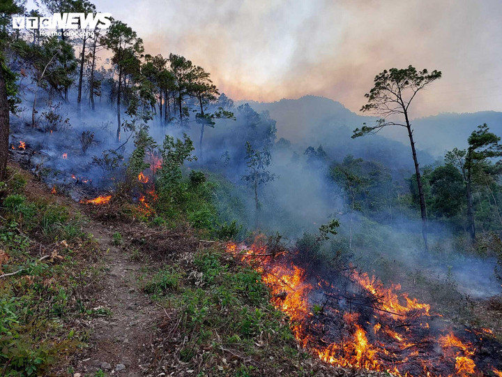 Quảng Bình lại tiếp tục xảy ra cháy rừng gần nhà dân - 1