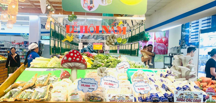 Lễ hội nấm với hơn 100 loại nấm giảm giá đến 30%.