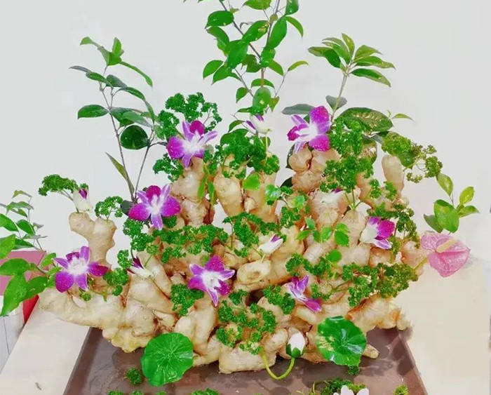 Gừng bonsai qua trang trí của chị em văn phòng. (Ảnh: Toutitao)