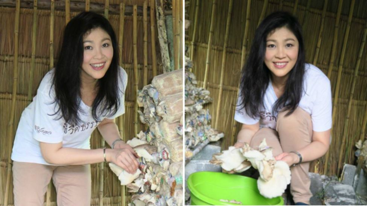 Một bài đăng năm 2015 của bà trở nên phổ biến và thu hút hàng trăm nghìn lượt like trên Facebook, với chiếc áo ghi dòng chữ "cuộc sống đời thường".