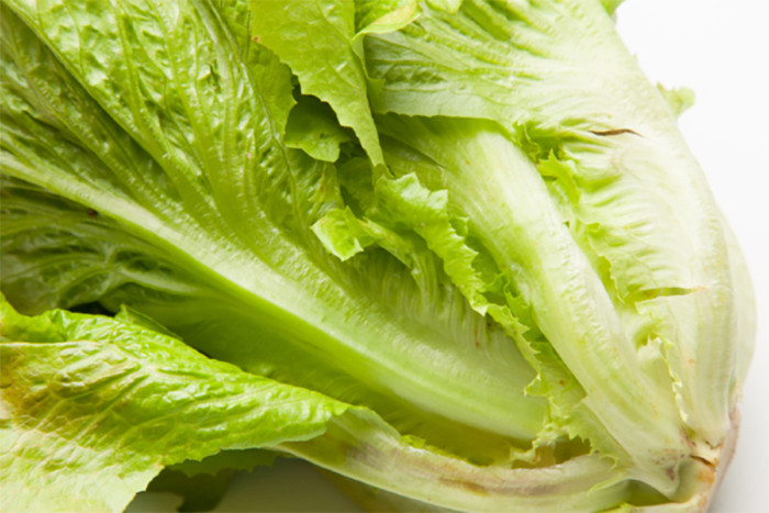 Các vết ố vàng trên rau xà lách. (Ảnh: Epochtimes)