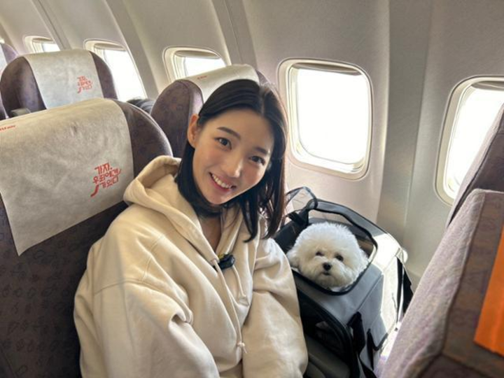 Nhiều bạn trẻ tại Hàn Quốc sẵn sàng trả tiền để đi du lịch cùng thú cưng.