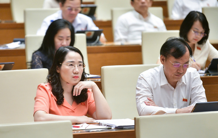 Các đại biểu Quốc hội tại Hội trường Diên Hồng. (Ảnh: quochoi.vn)