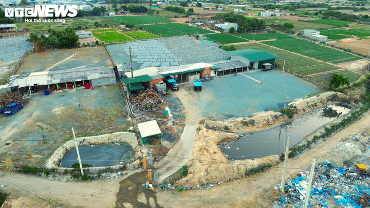 Hồ chứa nước thải kèm theo rác hai bên đường của 2 lò hấp gây ô nhiễm.