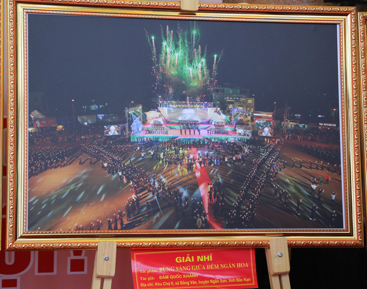 Tác phẩm Bừng sáng giữa đêm ngàn hoa đoạt giải Nhì.