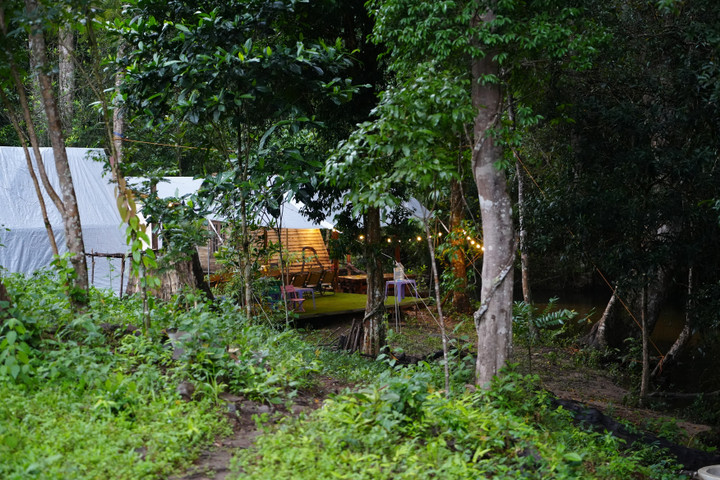 Cắm trại trong rừng. (Nguồn: BQL CVĐC Đắk Nông)