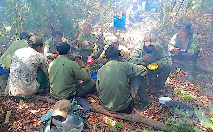 Bữa trưa của lực lượng bảo vệ rừng Nam Tây Nguyên.
