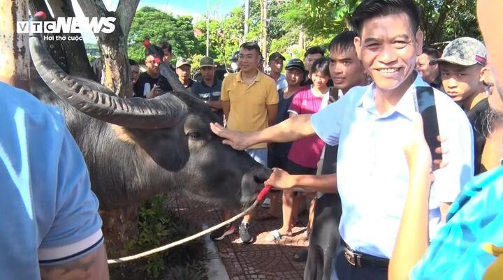 Ông Phạm Hoàng Tuấn - Phó Chủ tịch UBND quận Đồ Sơn cùng cán bộ chuyên môn kiểm tra các "ông trâu" chuẩn bị cho Lễ hội chọi trâu truyền thông Đồ Sơn năm 2024.