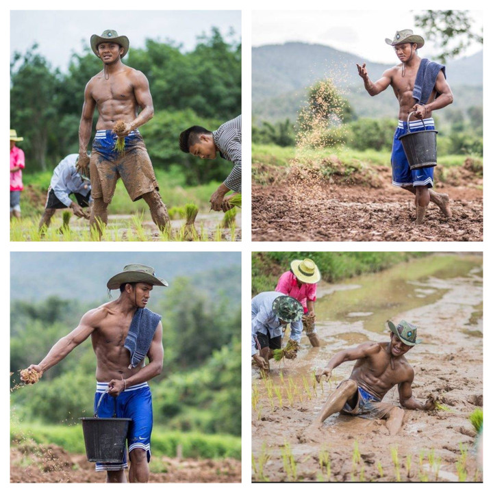 Dù là một võ sĩ giàu có nhưng Buakaw vẫn thích lội ruộng, làm nông