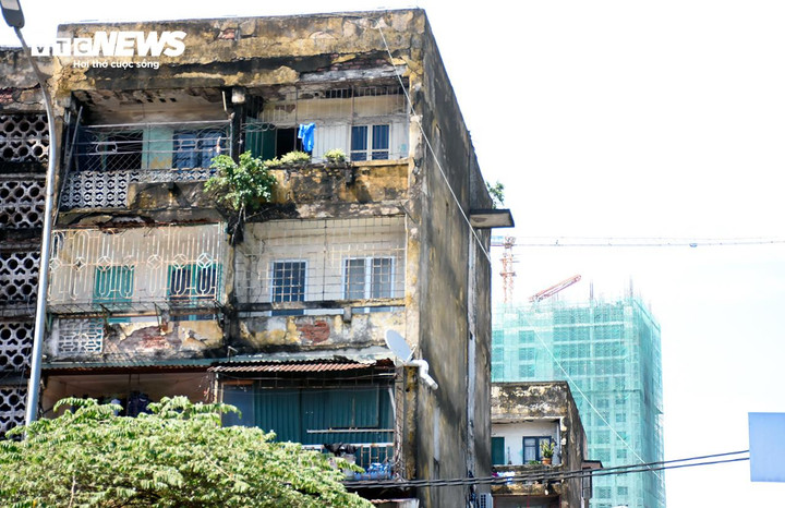 Các trường hợp còn lại sẽ xem xét bố trí tạm cư, tạm lánh để bảo đảm an toàn tính mạng cho người dân trong giai đoạn Dự án đầu tư công tại khu vực chưa triển khai và xét ưu tiên mua, thuê nhà tại các dự án nhà ở xã hội kết hợp giải quyết nhà ở cho các hộ dân sinh sống tại các chung cư cũ.