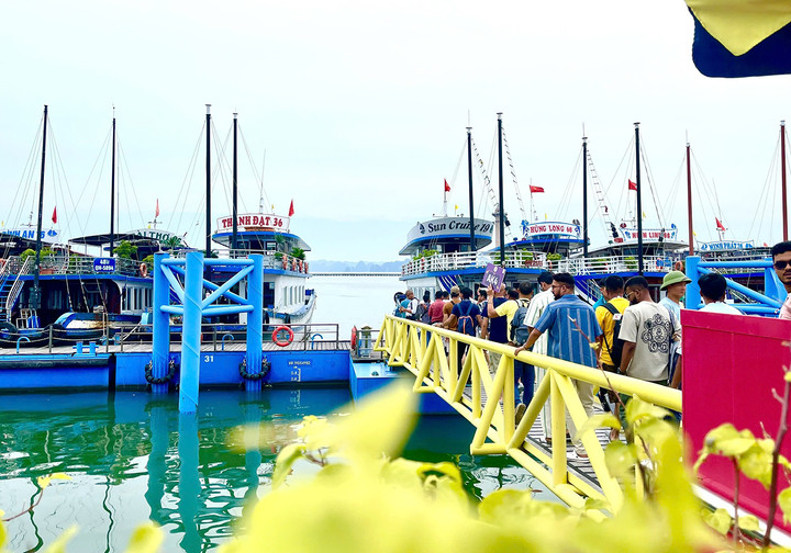 Tại vịnh Hạ Long, đoàn khách xuất phát từ Cảng tàu khách quốc tế Hạ Long, tham quan tuyến 1, vịnh Hạ Long với hành trình: Động Thiên Cung – hang Đầu Gỗ - hòn Chó Đá – hòn Đỉnh Hương – khu vực Ba Hang – hòn Trống Mái. Dự kiến, khoảng 15h cùng ngày, đoàn sẽ lên bờ và về Hà Nội.