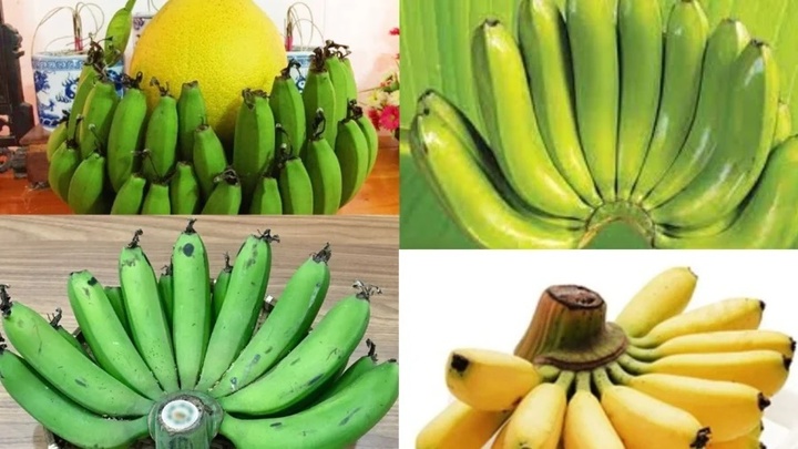 Có nhiều lý do khiến chuối xanh rất nhanh chín sau khi tắp hương. (Ảnh: Pintershg)