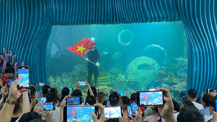 Thủy Cung Vincom Mega Mall Times biểu diễn tiết mục người cá với lá Quốc kỳ được hưởng ứng nhiệt tình.