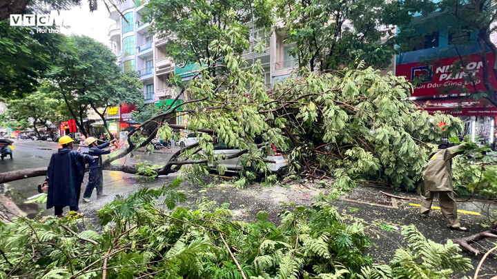 Mưa to, gió lớn vào chiều 4/9 khiến cây ngã đổ, ảnh hưởng đến việc di chuyển của người dân TP.HCM.
