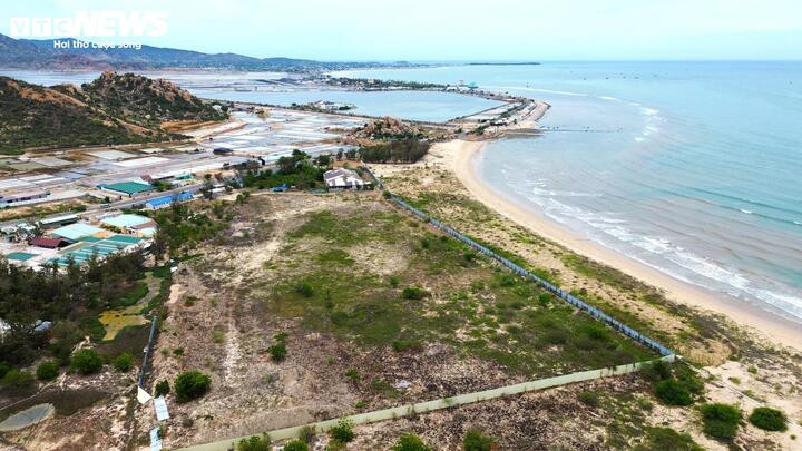 Nguyên nhân dự án Ninh Chữ Sailing Bay xin chấm dứt hoạt động vì công ty gặp nhiều khó khăn trong việc tiếp cận các nguồn vốn tín dụng và ảnh hưởng dịch COVID 19… từ đó không đủ thuận lợi để chủ đầu tư hoàn thành dự án trong thời hạn pháp luật cho phép.