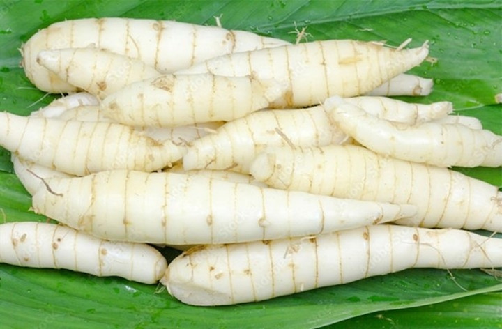 Củ dong tốt cho sức khỏe tim mạch. (Ảnh: Shutter Stock)