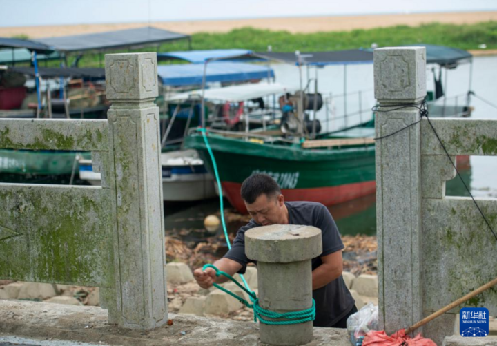 Ngày 5/9, các chủ tàu ở thị trấn Bác Ngao, thành phố Quỳnh Hải, Hải Nam, gia cố tàu đánh cá. (Ảnh: Tân Hoa Xã)