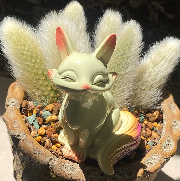 Tránh để đất trồng cây xương rồng đuôi hồ ly ở tình trạng khô kiệt. (Ảnh: Toutitao)