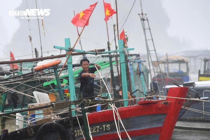 Ngư dân Quảng Ninh neo đậu tàu thuyền.